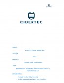 ENTORNO DEL MARKETING: “PRODUCTOS RAZZETO & NESTOROVIC S.A.C”