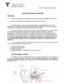 Conceptos de audiología
