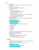 Diseños de Investigación Cualitativa