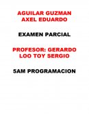 Examen parcial de programación: Aguilar Guzmán Axel Eduardo
