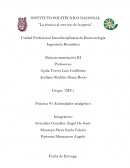 La técnica al servicio de la patria