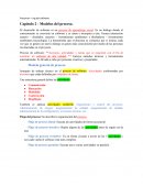 Pressman – Ing del software . Capítulo 2 - Modelos del proceso.