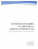 INVESTIGACIÓN MVZ (Varicela Zooster)
