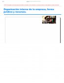 ORGANIZACION INTERNA DE LA EMPRESA