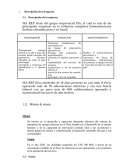 Descripción de la Empresa ISA REP