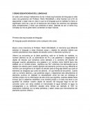 IDEAS EQUIVOCADAS DEL LENGUAJE