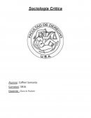 Sociologia Critica .“Industria Cultural”