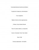 Ensayo entorno en las organizaciones. El cambio histórico y el desarrollo