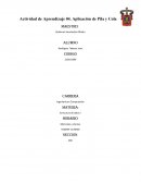 Actividad de Aprendizaje 04. Aplicación de Pila y Cola