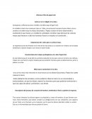 Informe crítico de Popol Vuh