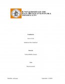 INFORME MACROECONOMIA
