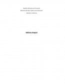Defensa integral. Plan de Desarrollo Económico y Social