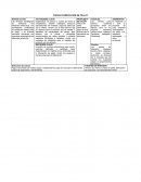 CANVAS FABRICACIÓN DE PALLET