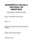 La concepción de la infancia a lo largo de la historia