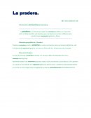 La pradera. Información y Caracteísticas
