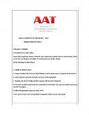 Acompañante Terapéutico