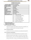 Informe psicologico - Aspecto Socio emocional