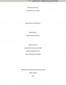 ANALISIS DE PELICULA “LA NOCHE DE LOS LAPICES”