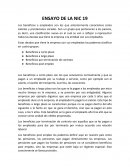 Ensayo sobre las nic 19