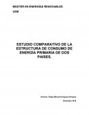 ESTUDIO COMPARATIVO DE LA ESTRUCTURA DE CONSUMO DE ENERGÍA PRIMARIA DE DOS PAISES