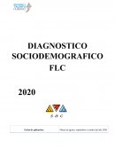 DIAGNOSTICO SOCIODEMOGRAFICO