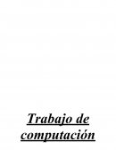 Trabajo de computación