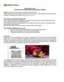 Neuroplasticidad, mecanismos de aprendizaje y memoria