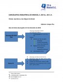 CARCOUSTICS INDUSTRIAL DE MEXICO, S. DE R.L. DE C.V