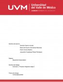 ACTIVIDAD 1: Mapa conceptual, 5 posibles ideas de negocio