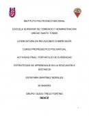 Actividad final Portafolio de evidencias. Estrategías de aprendizaje en la educación a distancia