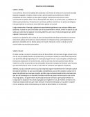 Resumen analisis economia Rusia y China