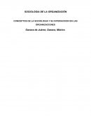 CONCEPTOS DE LA SOCIOLOGIA Y SU INTERACCION EN LAS ORGANIZACIONES