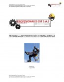 PROGRAMA DE PROTECCIÓN CONTRA CAIDAS