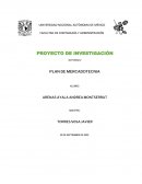 Actividad Plan de mercadotecnia