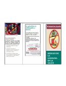 RIESGOS DE LA GASOLINA EN LA SALUD