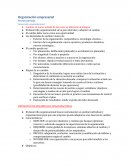 Organización empresarial