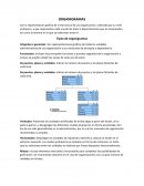 ORGANIGRAMAS