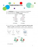 Cuestionario de carbohidratos