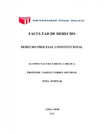 CONFERENCIA WEBINAR. Página 1