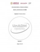 Actividad 2 Estadística Básica