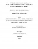 GESTIÓN DOCUMENTAL DE LAS MEDIDAS DE CONTROL DE RIESGO EN NUESTROS HOGARES, APLICANDO LOS CRITERIOS DE NORMA ISO 45001