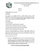 Guia de trabajo inglès I