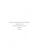 Administración de la prevención de riesgos