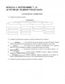 TEJIDOS VEGETALES. ACTIVIDADES DE COMPRENSIÓN