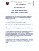 Dirección y Competitividad Estratégica Actividad Aplicativa 1 – La Ciudad de los Juguetes