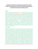 Evaluación del potencial de reducción de emisiones de óxido nitroso de un biorreactor aerobio lleno de fibras de carbono para el tratamiento de aguas residuales porcinas