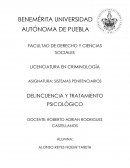 SISTEMAS PENITENCIARIOS DELINCUENCIA Y TRATAMIENTO PSICOLÓGICO