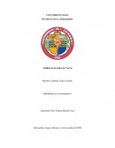 Análisis de lecciones de Vaccai