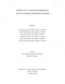 IMPORTACIA EN LOS SISTEMAS DE INFORMACION