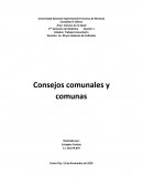 Consejos comunales y comunas